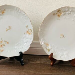 Vintage Carlsbad Plates From Austria